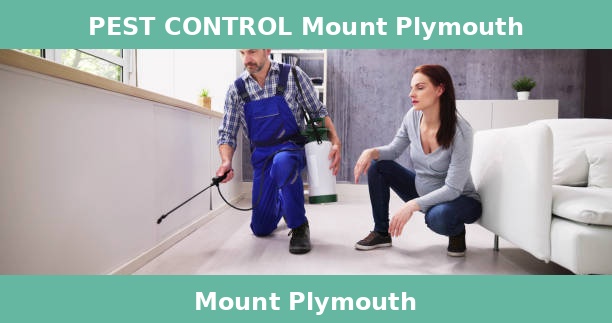 PEST CONTROL Mount Plymouth